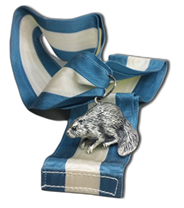 Silver Beaver Award
