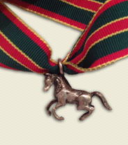 Silver Stallion Award